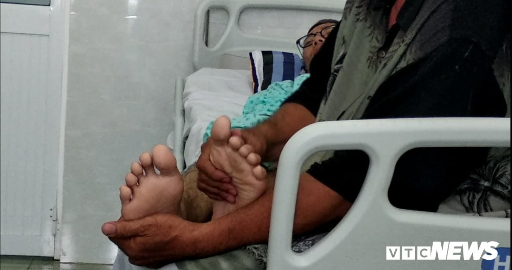 31010952_1031675926990239_1681566361_o 7