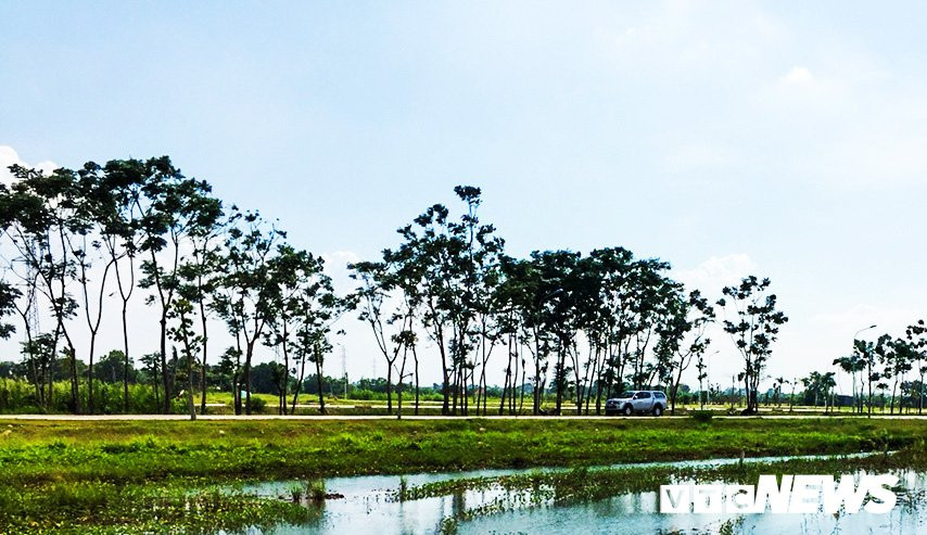 Thanh-tra-toan-dien-cac-du-an-cua-Cong-ty-Phi-Long-co--ng-ty-phi-long-1539484661-width1200height900 copy