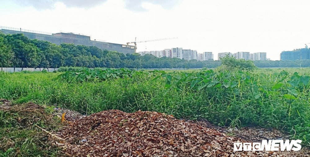 44171278_469644003524728_1210768314582695936_n