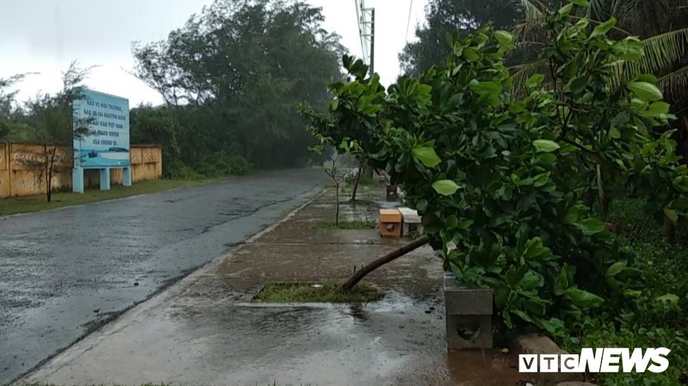 bão.00_00_02_14.Still002 6