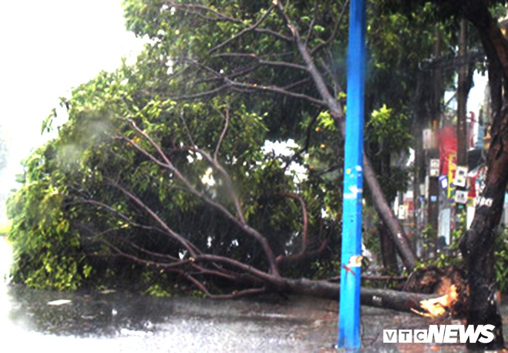 img2651-15431178179471446299496 10