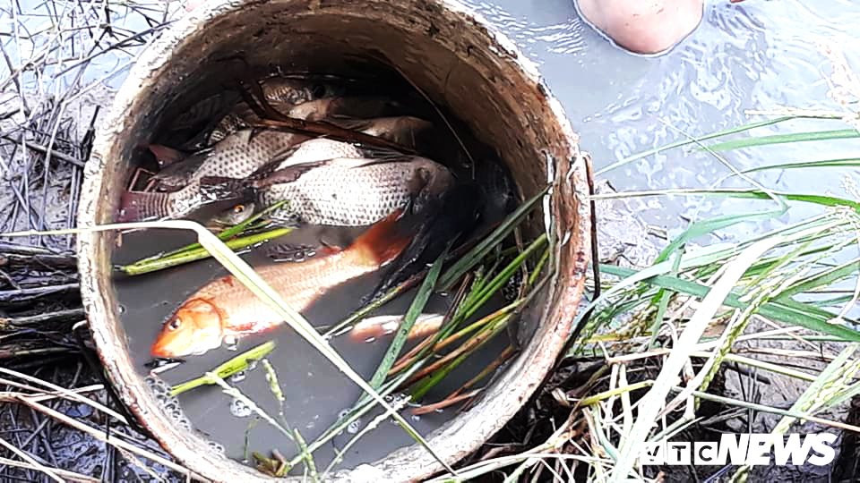 50224115_2137215323004668_354363552431079424_n