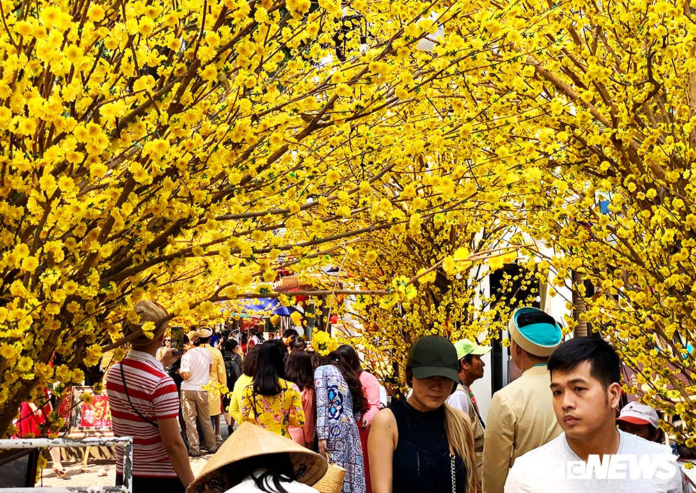 51007038_288913911781626_5106048595421822976_n 5