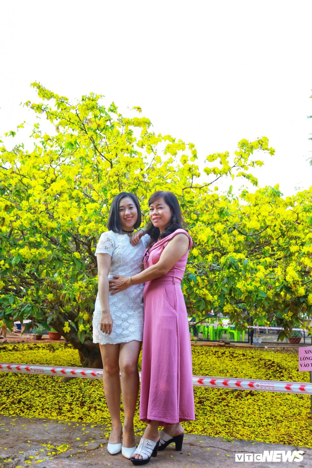 51126524_2013053462075154_7538388982892068864_n 3