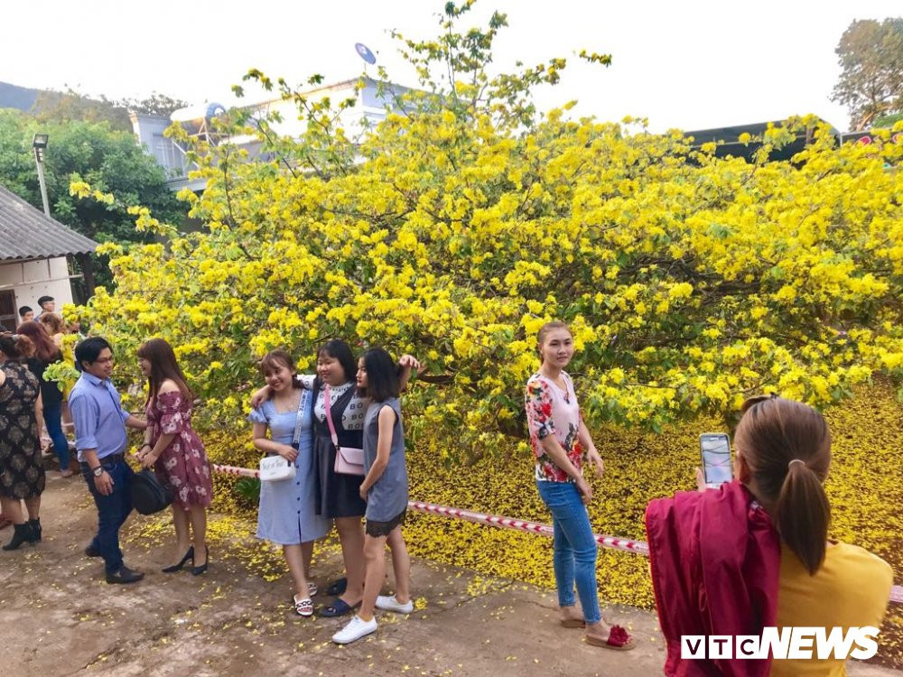 51286696_402854823796909_2598588383835979776_n 9