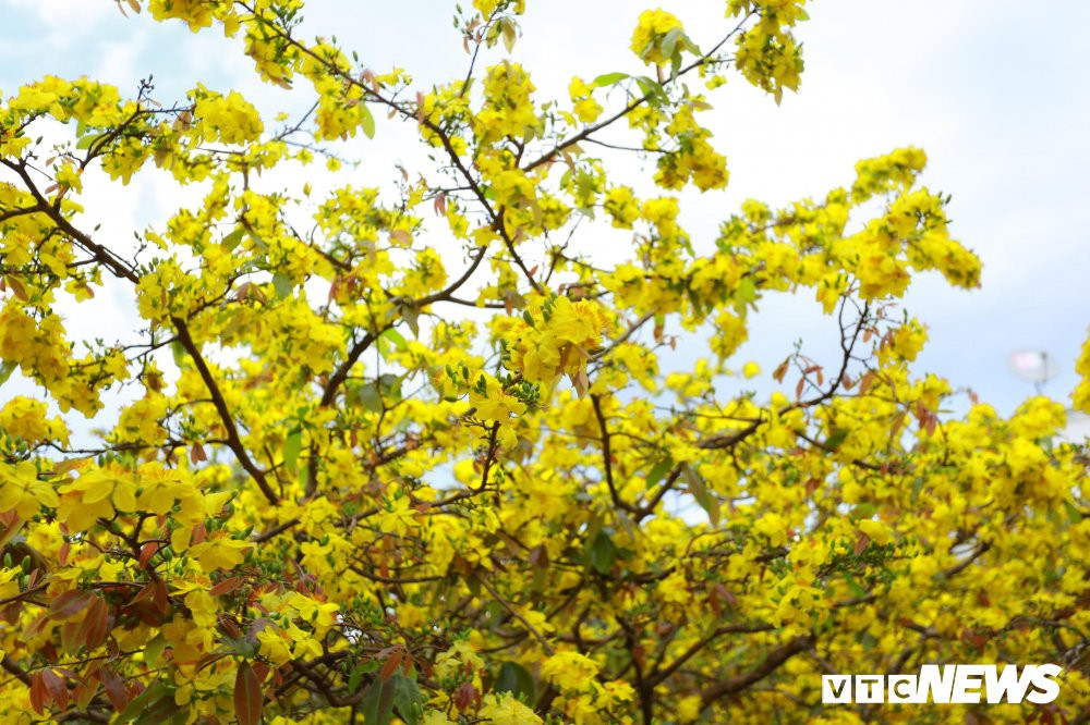 51381264_555933454874047_1308561545931784192_n 10