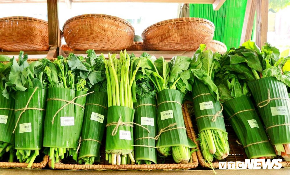 56157852_271027863599844_4218402644886028288_n 3