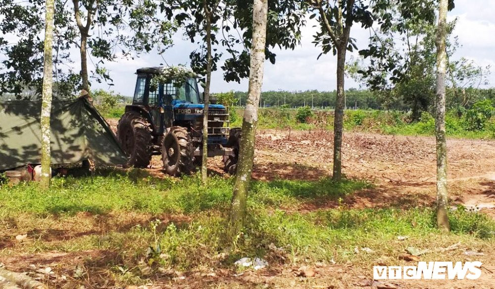 san-bay-long-thanh2 3