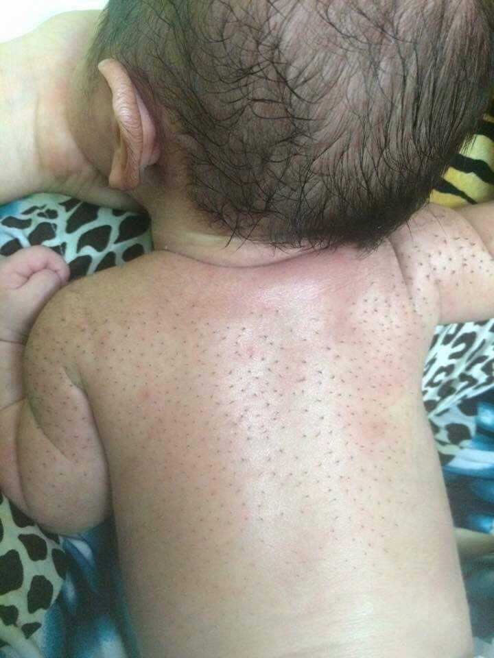 15134734_1179423068778446_5836239549334848562_n