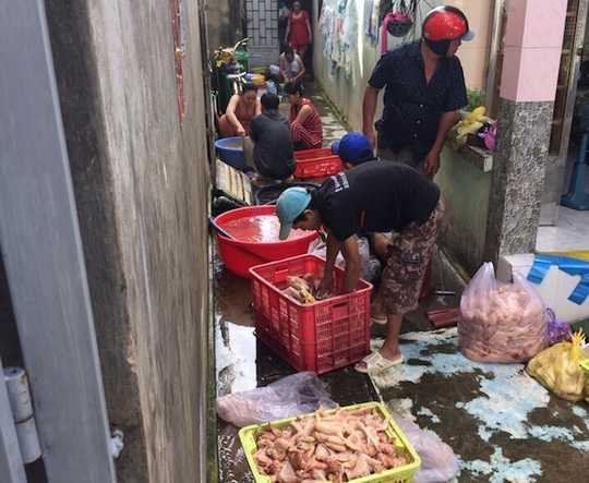 photo-1-1480683669883