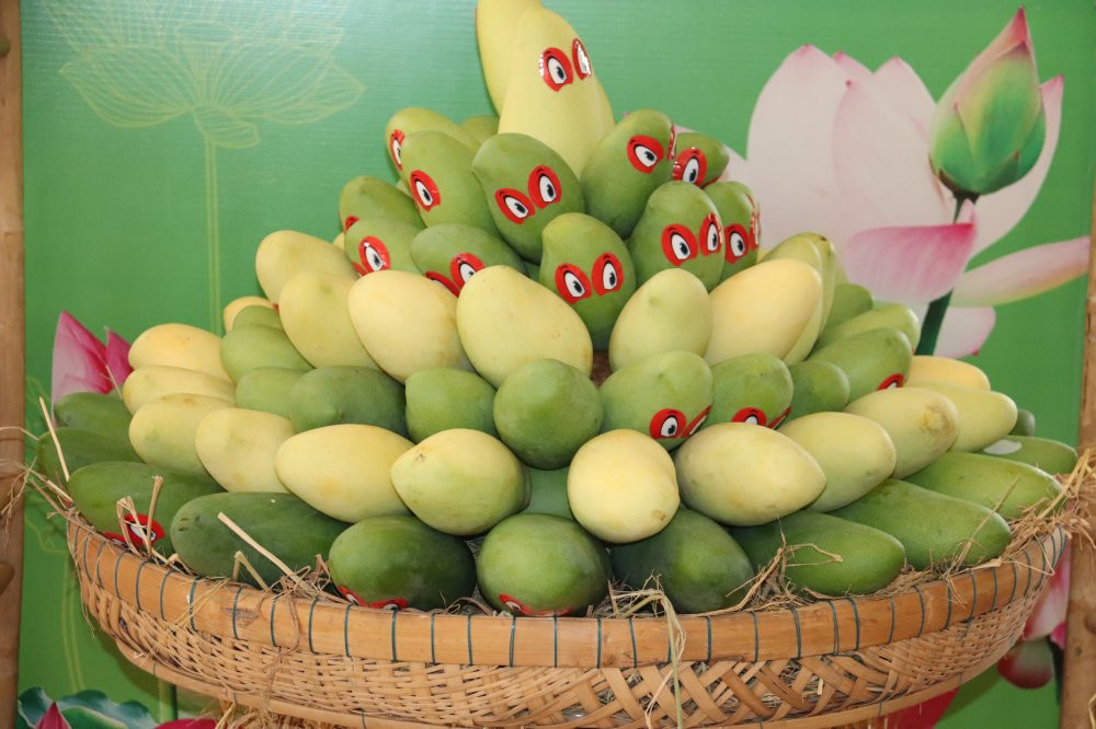 xoai-viet-nam-hinh4 4