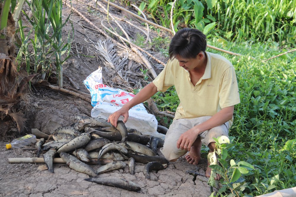 o-nhiem-song-cai-lon-2