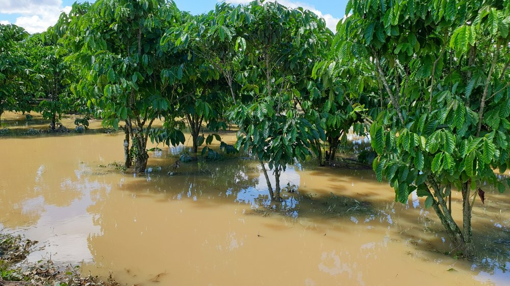 anh-hang-tram-ho-dan-bi-nhan-chim-hinh3 3