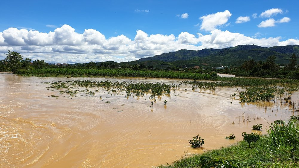 anh-hang-tram-ho-dan-bi-nhan-chim-hinh6 6