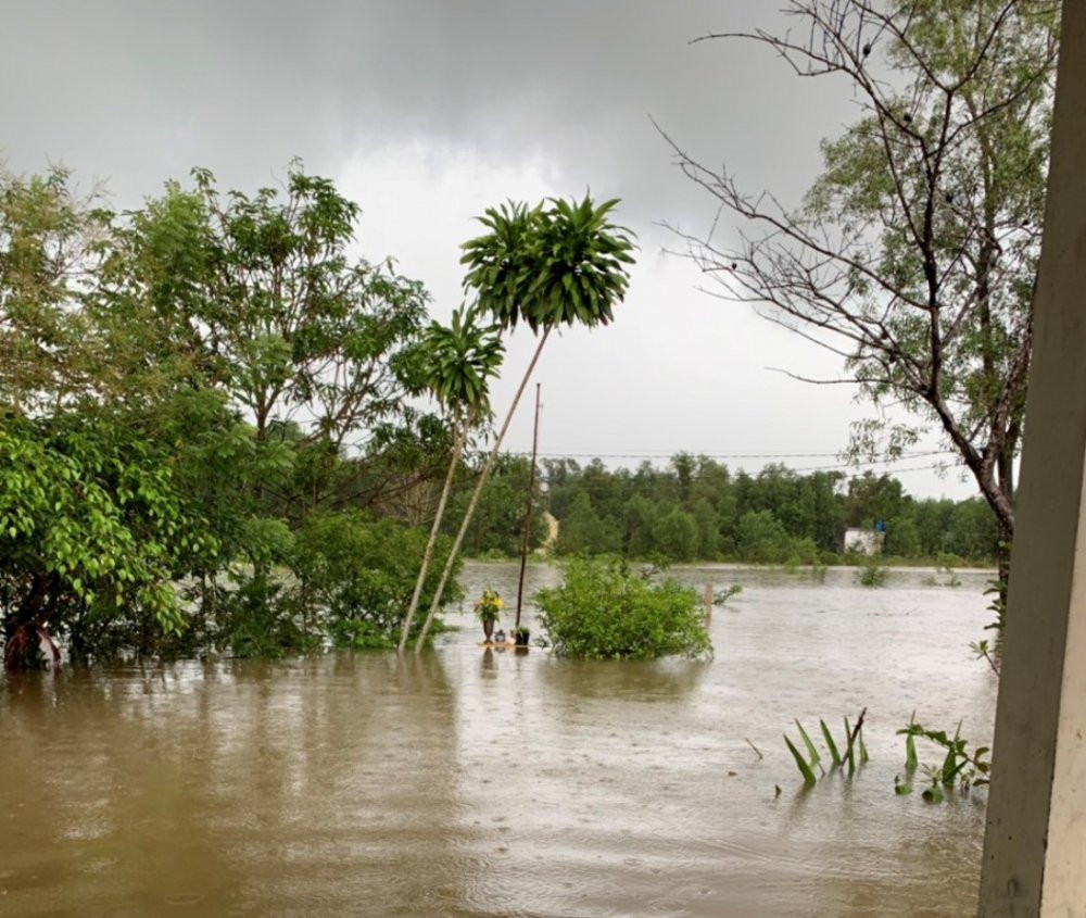 dao-ngoc-phu-quoc-11 10