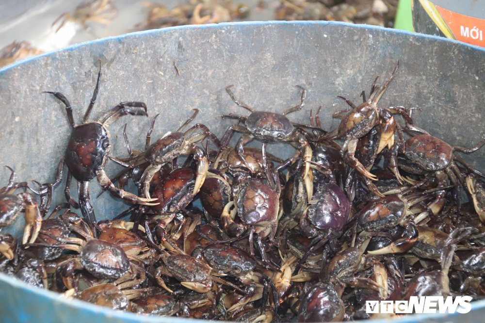 Phan -khoi- muu-sinh-mua-nuoc-noi- 004 8