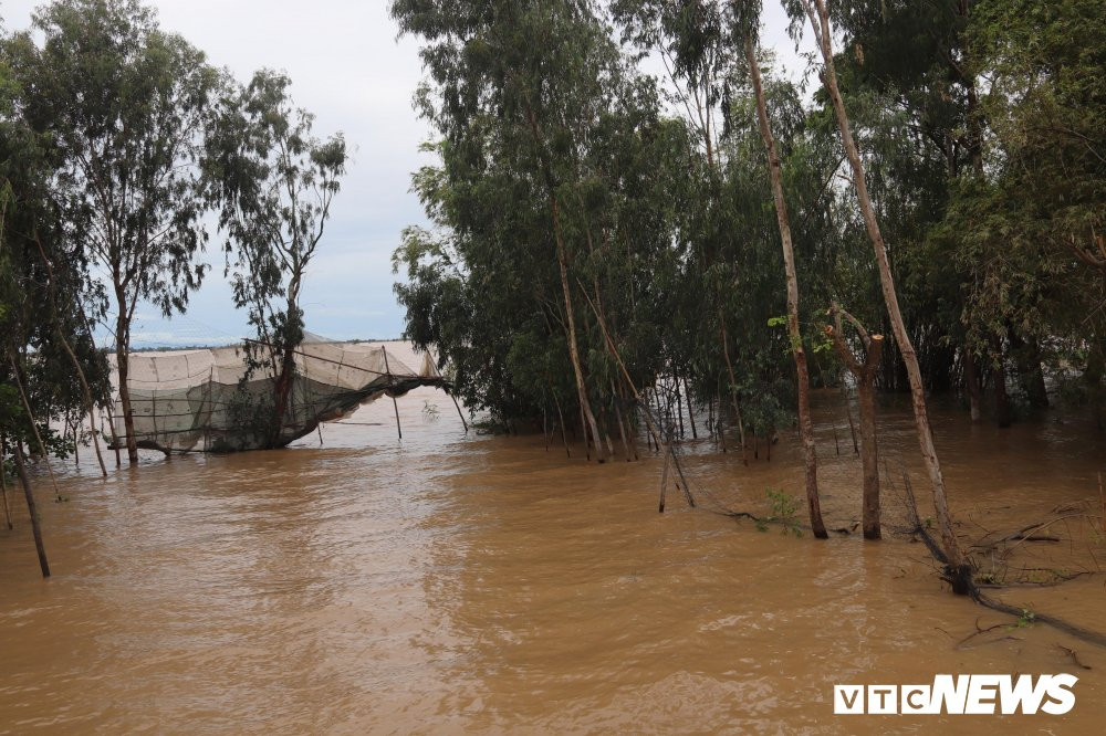 Phan -khoi- muu-sinh-mua-nuoc-noi- 013 13