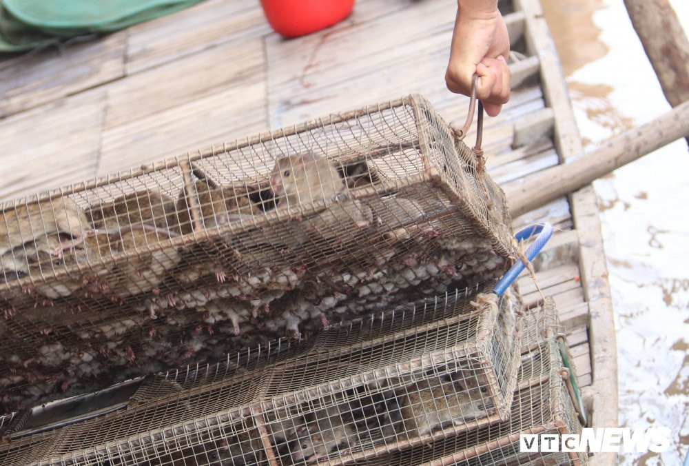 Phan -khoi- muu-sinh-mua-nuoc-noi- 015 15