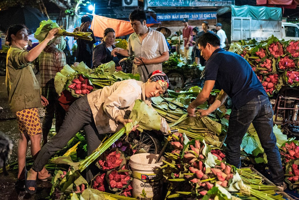 Ngap tran sac sen tai cho hoa Quang Ba hinh anh 4