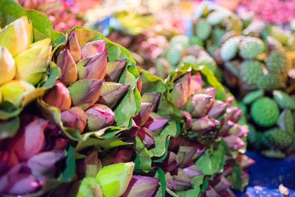 Ngap tran sac sen tai cho hoa Quang Ba hinh anh 3