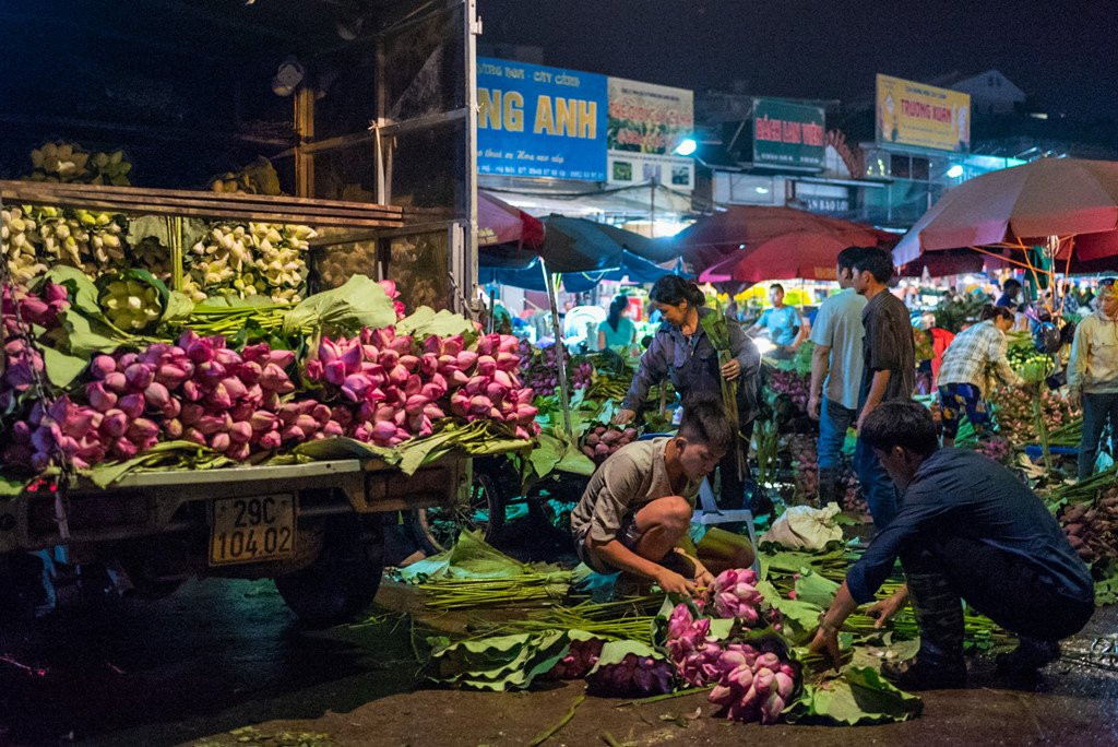 Ngap tran sac sen tai cho hoa Quang Ba hinh anh 6