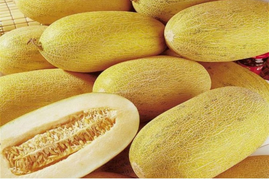 dưa Trung Quốc,hoa quả trung quốc