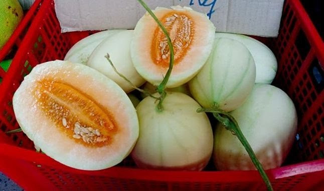 dưa Trung Quốc,hoa quả trung quốc