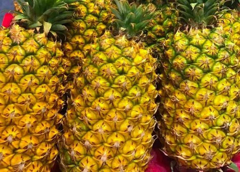 dứa,hoa quả đài loan,dứa Việt