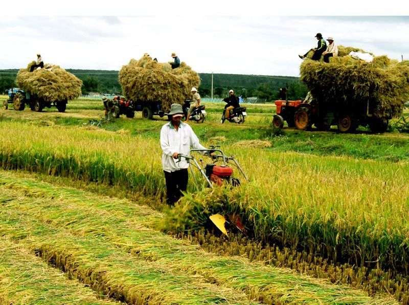 Gỡ được nút thắt này, vượt Thái Lan đâu có gì khó