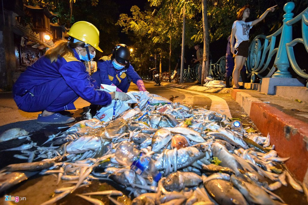 Hang tram cong nhan trang dem vot xac ca ho Tay hinh anh 10