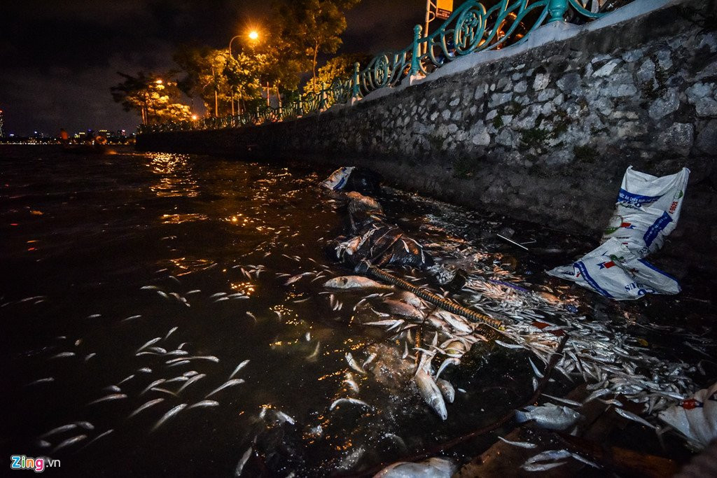 Hang tram cong nhan trang dem vot xac ca ho Tay hinh anh 2