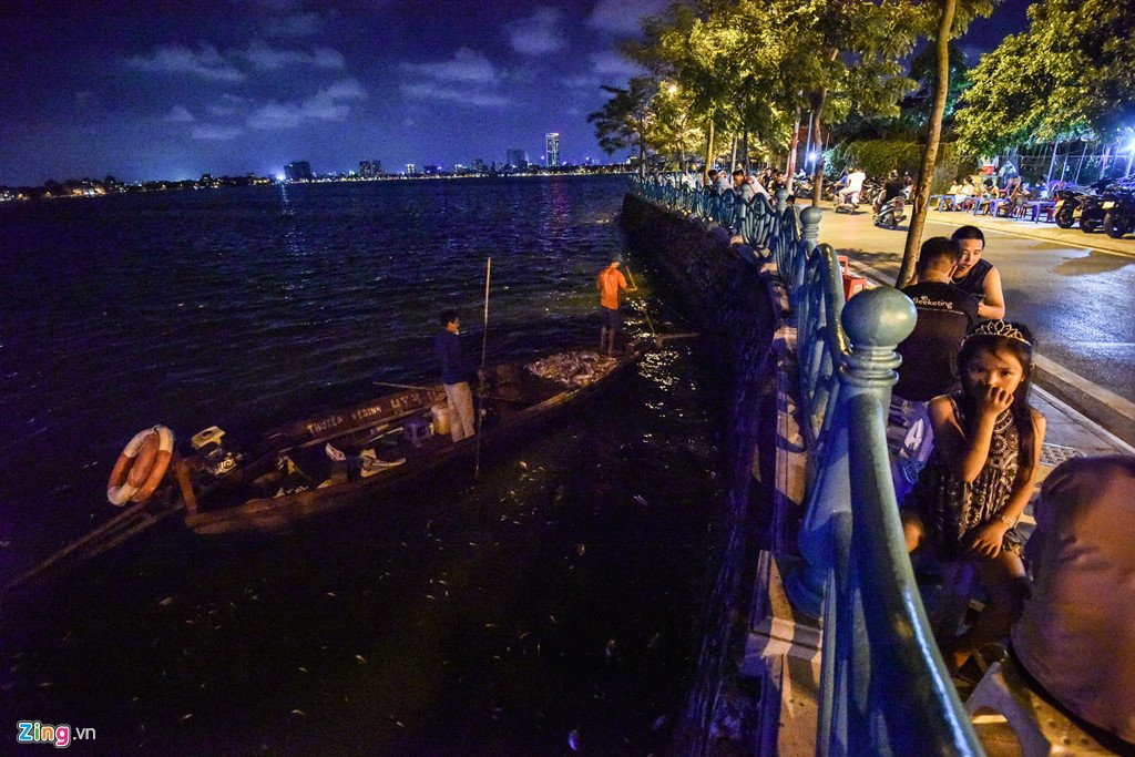 Hang tram cong nhan trang dem vot xac ca ho Tay hinh anh 3