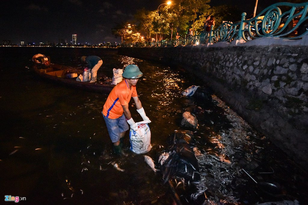 Hang tram cong nhan trang dem vot xac ca ho Tay hinh anh 6