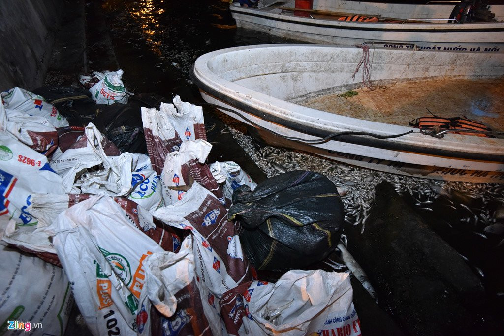 Hang tram cong nhan trang dem vot xac ca ho Tay hinh anh 7