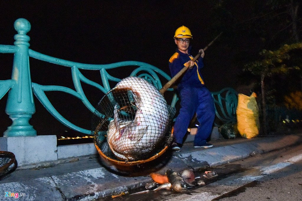 Hang tram cong nhan trang dem vot xac ca ho Tay hinh anh 8