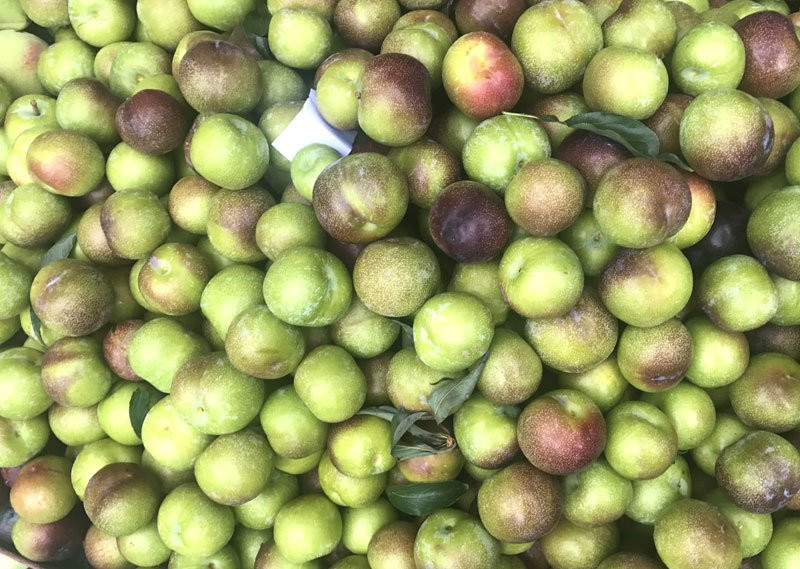 Việt Nam hết mùa, 4 loại mận Tàu đang áp đảo toàn chợ