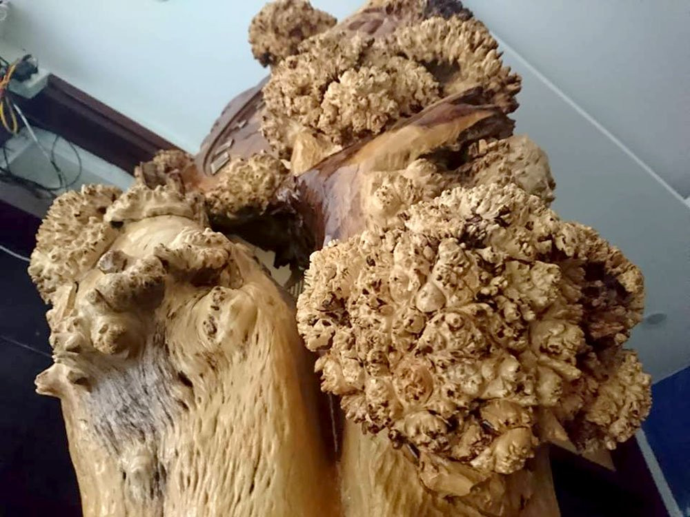 Chiếc đồng hồ gốc me tuổi đời trăm độc nhất vô nhị đất Việt