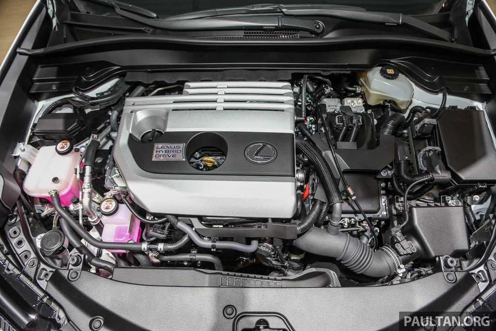 SUV hang sang co nho Lexus UX 2019 lan dau den Dong Nam A hinh anh 6