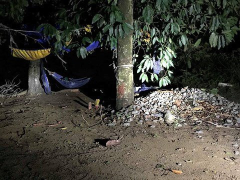 44791760_1769910139802109_3683650423073275904_n