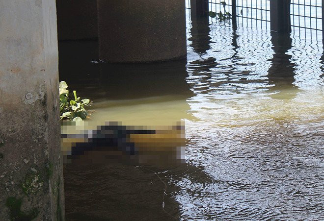 45514914_1944792482275845_4778923781416550400_n