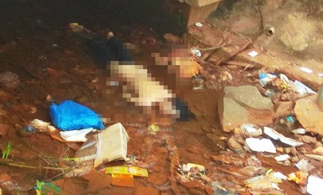 eb35c025-e471-4e90-b4ea-6e899d3d78de