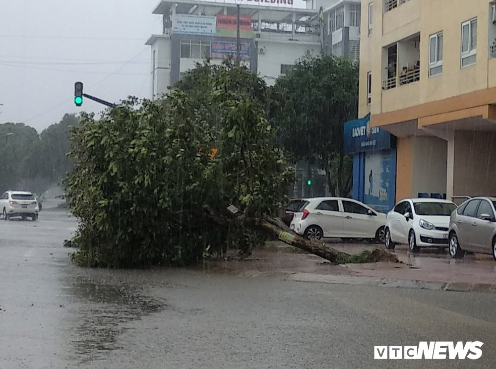 IMG_20190903_085024 14