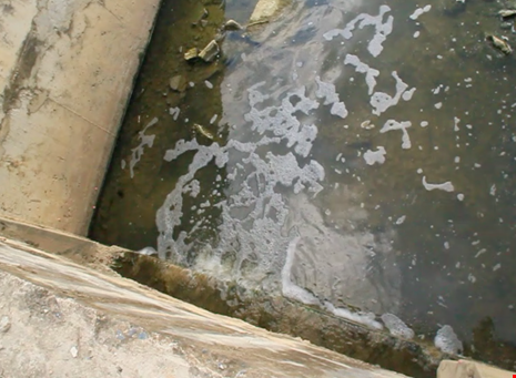 Đà Nẵng: Cá chết nổi trắng kênh Đa Cô - ảnh 3