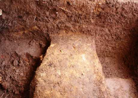 Da phat hien cung dien vua Quang Trung? - Anh 2