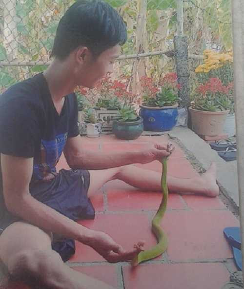 Liên tiếp có trẻ nhập viện do bị rắn độc cắn - 2