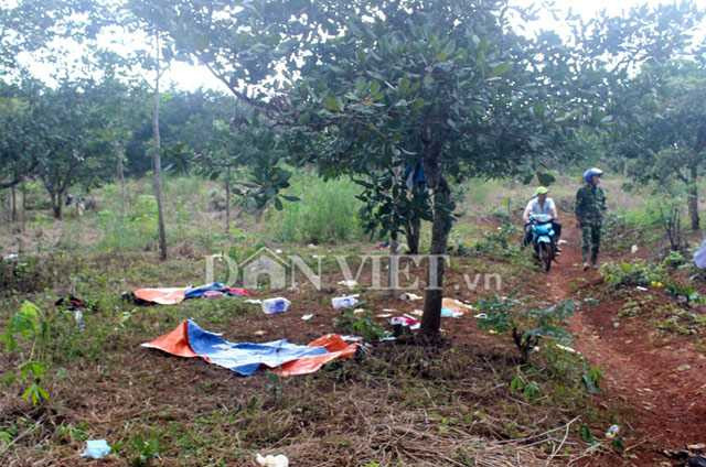 doc quyen: chum anh bi can vu ban nguoi o dak nong ra dau thu hinh anh 1