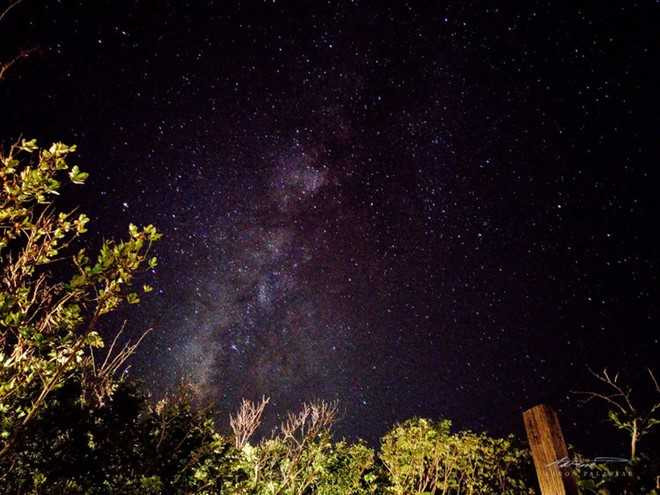 Loat anh phoi sang chup bang Asus ZenFone 3 hinh anh 3