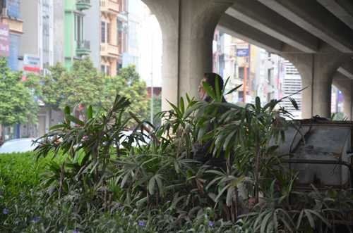 dan vo tu “te bay” tren duong pho ha noi hinh anh 8