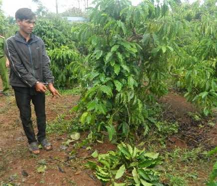 Y Răk Niê chỉ hiện trường vụ hiếp dâm. Ảnh B.N