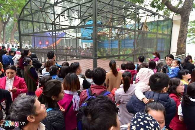 Nguoi dan un un di choi Tet hinh anh 3